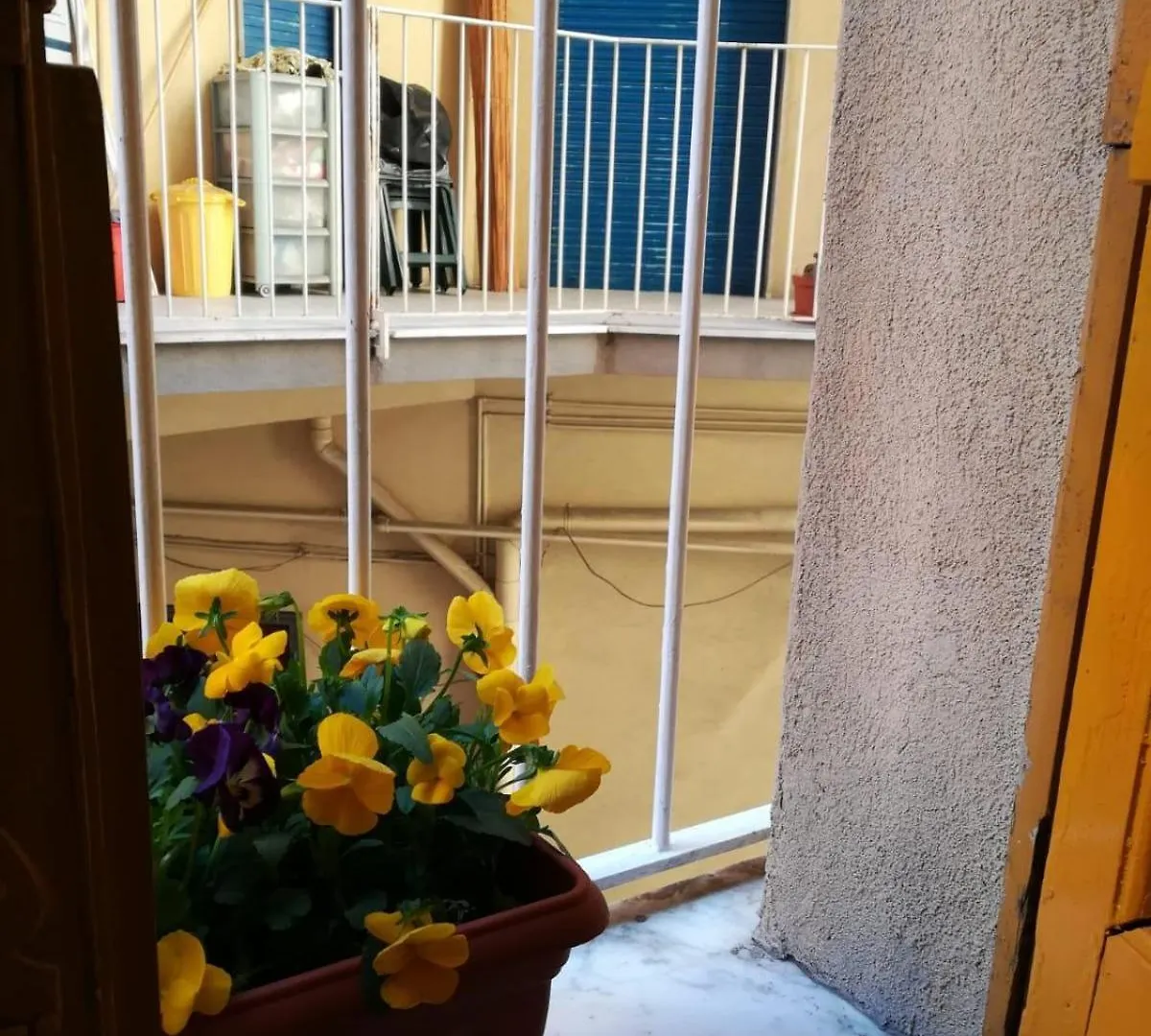 The Yellow House Catania